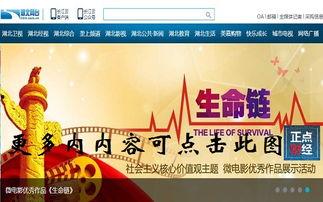 湖北卫视在线直播观看,精彩瞬间尽收眼底