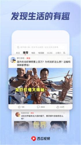 西瓜网在线观看视频,精彩瞬间不容错过