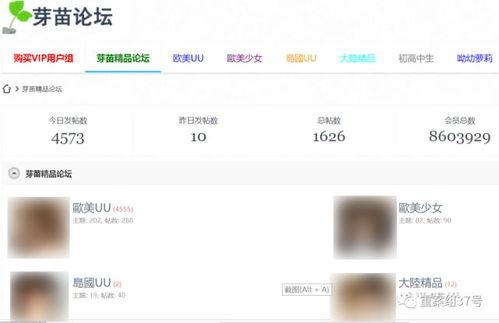 在线观看成人网站,在线观看现象背后的真相与影响